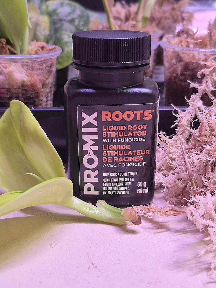 Promix Roots Gel 60ml
