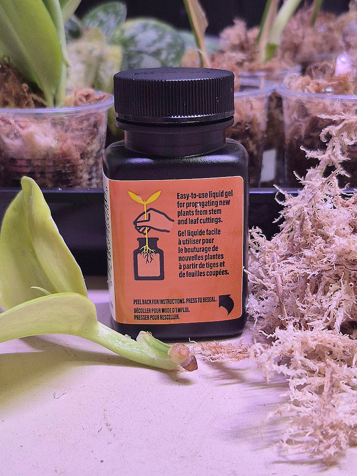 Promix Roots Gel 60ml